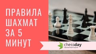 Основные правила шахмат за 5 минут Видео для начинающих [upl. by Catrina]