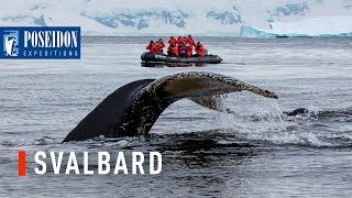 Svalbard in 1 minute  The ultimate Arctic getaway [upl. by Siloum941]