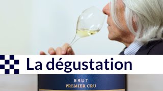 Conseils pour la dégustation du Champagne [upl. by Menell]