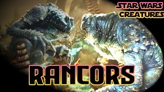 Rancors  Star Wars Creatures [upl. by Yeldar]