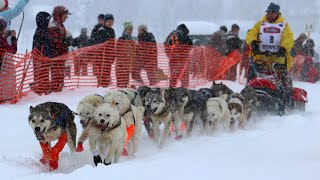 2020 Iditarod Official Start  Willow Alaska [upl. by Mellen845]