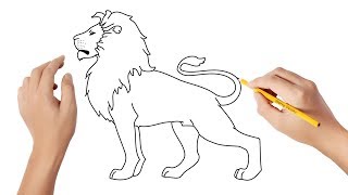 Comment dessiner un lion [upl. by Holey]