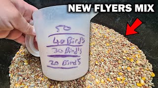 Flyers Pigeon Feed Mix [upl. by Yarg36]