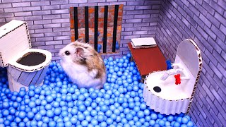 🐹Hamster escapes the awesome maze for Pets in real life 🐹 in Hamster stories Part 2 [upl. by Barri]