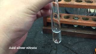 Anion Test  Chloride Ions [upl. by Gabbie]