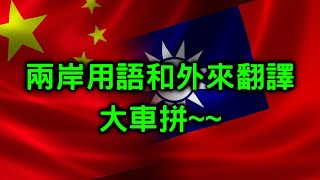 13分鐘了解兩岸用語到底插在哪裡 [upl. by Akcimat]