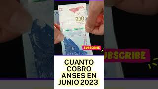 ¿ANSES Cuanto Cobro en JUNIO 2023 con Aguinaldo Bono y Aumento [upl. by Vivl]