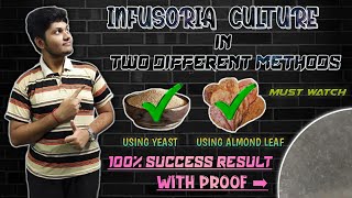 How to Culture Infusoria without starter  தமிழ்  Wonder Aqua Garden [upl. by Felt156]