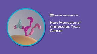 How Monoclonal Antibodies Treat Cancer [upl. by Wales]