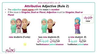 Beginners Arabic  Lesson 18  Adjective Noun Phrases [upl. by Frissell]