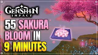 Sakura Bloom Locations  Fast and Efficient Route  Ayaka Ascension Materials 【Genshin Impact】 [upl. by Enihpets940]