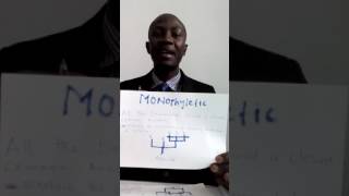 Monophyletic paraphyletic and polyphyletic [upl. by Kester]