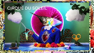 LUZIA  Official Teaser  Opens April 21st in Montréal’s Old Port 2016  Cirque du Soleil [upl. by Franky358]