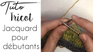 Tuto Tricot  JACQUARD POUR DEBUTANTS [upl. by Ellessig]