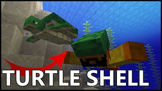 How To Get TURTLE SHELLS In Minecraft [upl. by Deden]