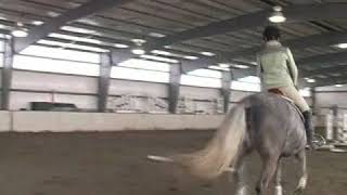 How to Gallop a Horse [upl. by Kyla]