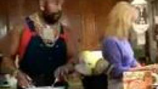 Mr T Loni Anderson George Hamilton  Lipton TV spot 2001 [upl. by Haduhey]