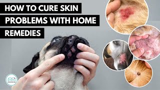 How To treat 5 Skin infection in dogs 🐕 with home remedies [upl. by Earahs104]