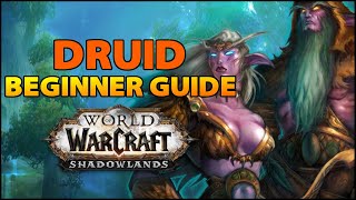 Druid Beginner Guide  Overview amp Builds for ALL Specs WoW Shadowlands [upl. by Killen26]