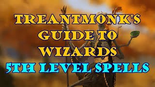 Treantmonks Guide to Wizards 5th level spells [upl. by Siulegroj954]