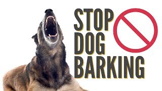 How To Quickly Stop Dog Barking [upl. by Erlin96]