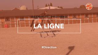 La Ligne  Equisense [upl. by Mame895]