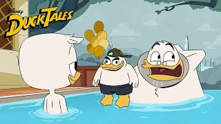 Deposing The Glomgold Clip  Happy Birthday Doofus Drake  DuckTales 2017 [upl. by Mialliw195]