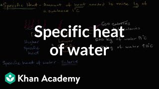 Specific heat of water  Water acids and bases  Biology  Khan Academy [upl. by Wyck44]