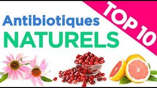 Top 10 des Antibiotiques Naturels [upl. by Aivilo730]