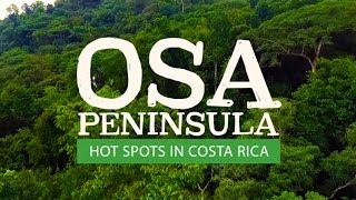 Travel to the Osa Peninsula amp Corcovado Costa Rica [upl. by Brigg]