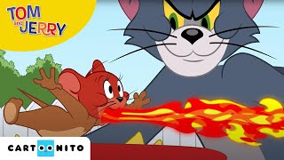 Tom und Jerry  Die Hitzewelle  Cartoonito [upl. by Enuahs587]