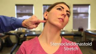 TMJ Exercise Sternocleidomastoid Stretch [upl. by Yesnnyl]