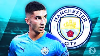 FERRAN TORRES  Welcome to Man City  Crazy Skills Goals amp Assists  2020 [upl. by Ellivnarg]