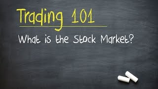 Trading 101 What is the Stock Market [upl. by Alesiram]