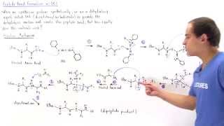 Peptide Bond Formation with DCC [upl. by Savil199]