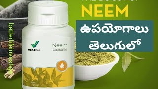 Vestige Neem capsules Benefits ampUsage in Telugu  Diabetes treatment [upl. by Neemsay]