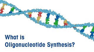 What is Oligonucleotide Synthesis [upl. by Godbeare933]