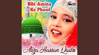 Bibi Amina Ke Phool [upl. by Duster]