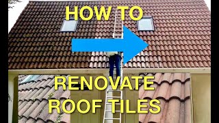 How to Renovate Roof Tiles  Klll Moss amp Restore Colour [upl. by Killian]