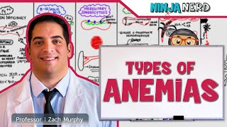 Hematology  Types of Anemias [upl. by Roban638]