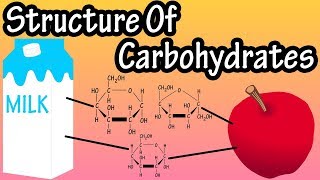 Structure Of Carbohydrates  What Are Carbohydrates Made Of Structure Of Glucose Fructose Galactose [upl. by Truc]