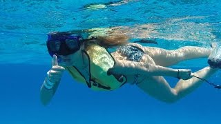 Snorkel Cozumel Colombia Reef [upl. by Ahseikal]