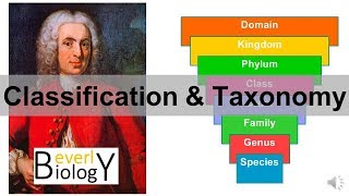 Classification and Taxonomy [upl. by Arabella]