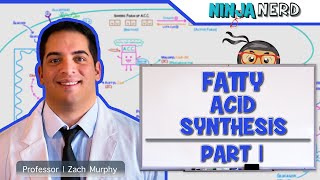 Metabolism  Fatty Acid Synthesis Part 1 [upl. by Bradley]