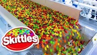 10 Skittles Facts That You Never Realized [upl. by Sherj]