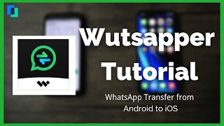 Mutsapper Tutorial  Transfer WhatsApp Data from Android to iPhone without Computer [upl. by Michaelina]