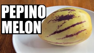 PEPINO MELON  Fruity Fruits Taste Test [upl. by Nothgierc]