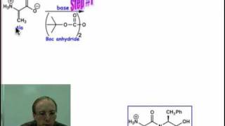 Peptide Synthesis [upl. by Enitsuga615]