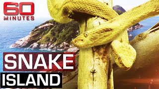 The deadliest place on earth Snake Island  60 Minutes Australia [upl. by Letnahs479]