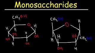 Monosaccharides  Glucose Fructose Galactose amp Ribose  Carbohydrates [upl. by Merlina406]